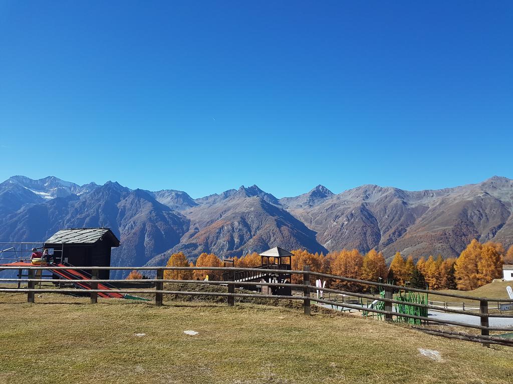 Chalet Schneevogul Grächen Dış mekan fotoğraf