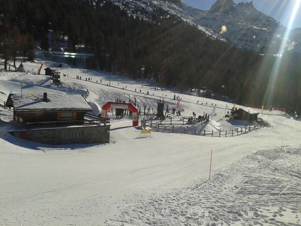 Chalet Schneevogul Grächen Dış mekan fotoğraf