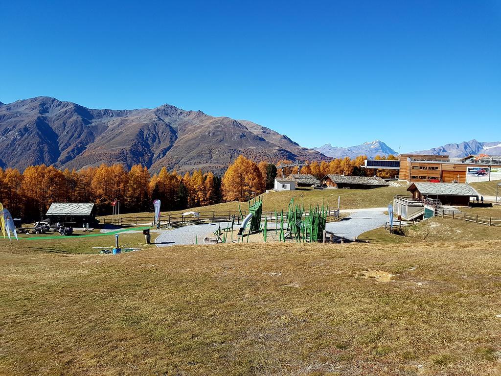 Chalet Schneevogul Grächen Dış mekan fotoğraf